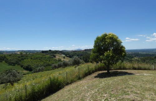 Scappo in Umbria, Collefiorito - Foto 17