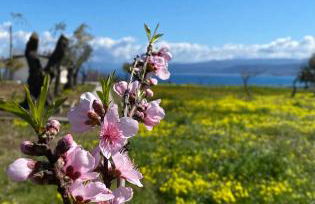 Casa Ruris - Country residence - Foto 15