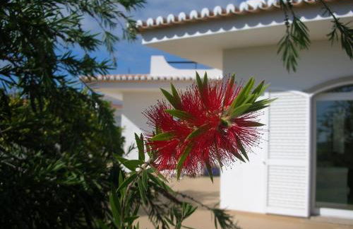 Casa Limão - Foto 23