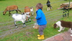 Little Farm House, 25164 - Foto 2