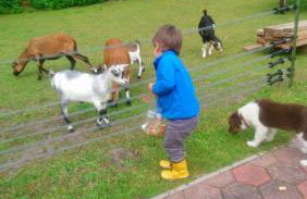 Little Farm House, 25164 - Foto 2