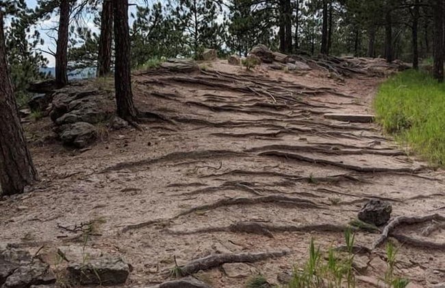 Elk Creek Resort - Foto 69