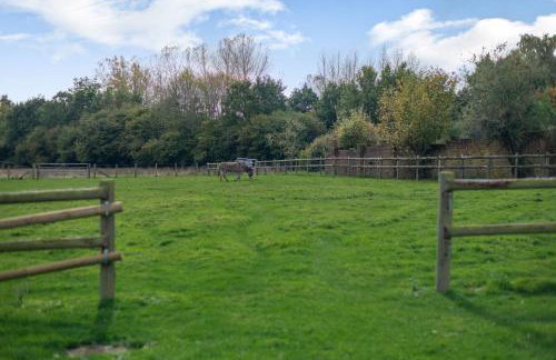 Purbeck View - Uk36320 - Photo 14