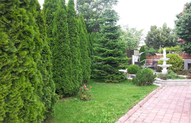 jolie apartaments - Foto 30