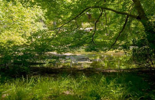 Riverfront Home - Kayak & Fishing - 6 mins Mentone - Photo 38