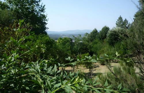 Casa do Alto (top floor apartment) - Foto 37