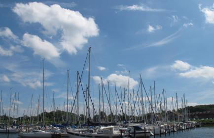 FEWO Muschel - Foto 30