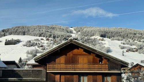 Au Petit Flocon - Appartement 3 pièces, central et proche pistes - parking privé et wifi - Foto 2