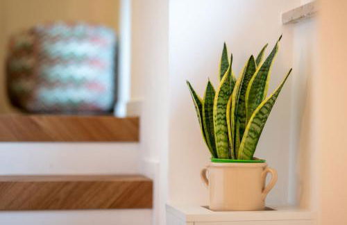 La dimora del figulo - Foto 16