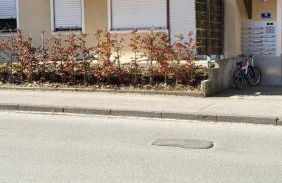 FW2-Allgäu - Foto 13