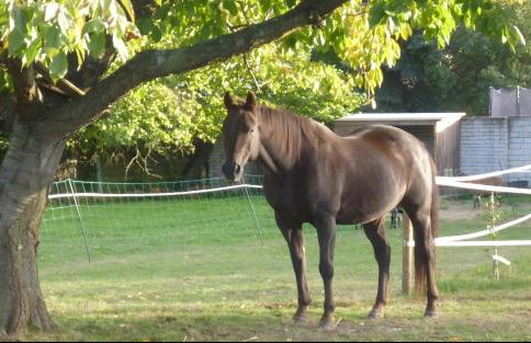 Auszeit Landleben - Photo 5