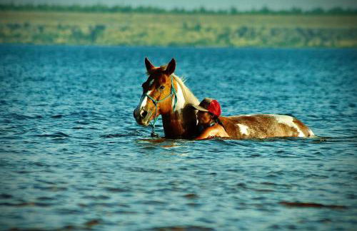 W Diamonds Ranch - Photo 11