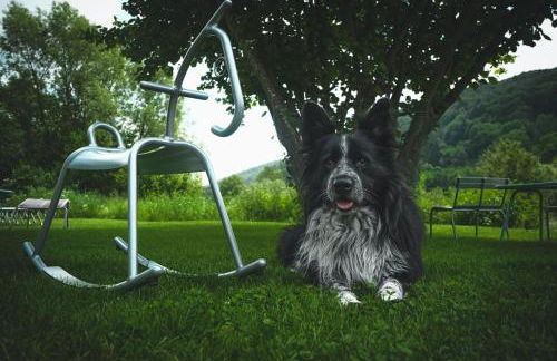 Freistehendes Ferienhaus Renkenmühle näher kann man am Wasser nicht wohnen - Foto 10