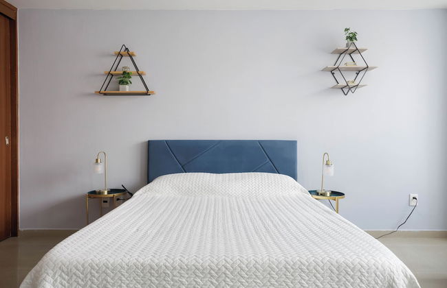 Socrates 378 - Foto 7