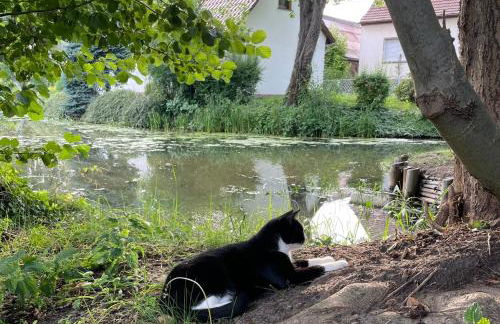 Apartments im Spreewald - Foto 20