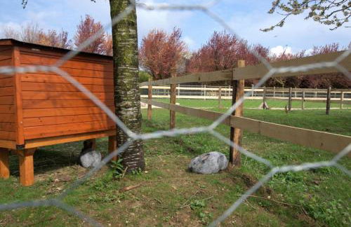 Le chalet dans la prairie - Foto 24