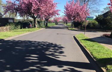 galerie 65 - Foto 17