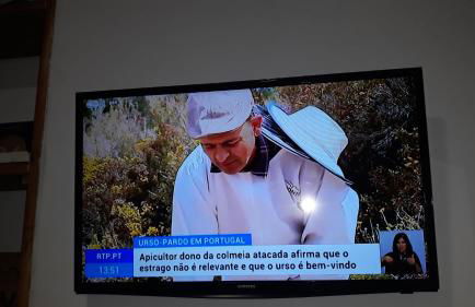 Apimonte City House B - Foto 42