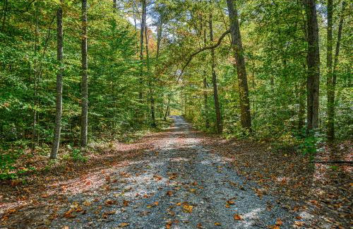 Base Camp D - Foto 40