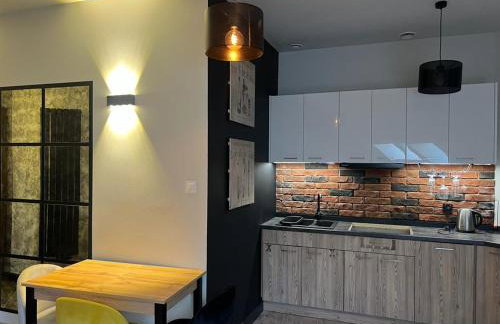 Apartamenty Terminal Charzykowy - Foto 26