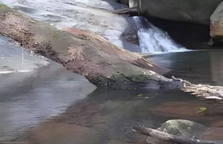 Sítio das Flores, 7 Km do centro de Castelo - Foto 30