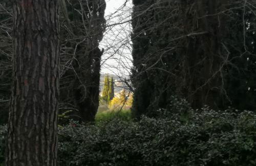 La casa di Duccio con parcheggio gratuito - Foto 25