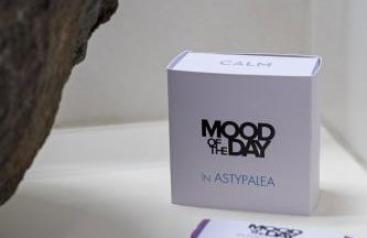 SempreViva - Foto 48