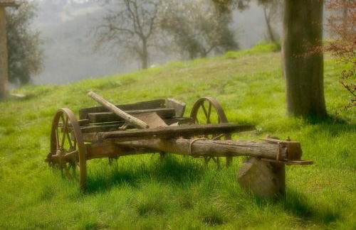 Agriturismo Buondonno - Foto 15