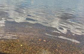 Rancho Carvalho - Foto 18