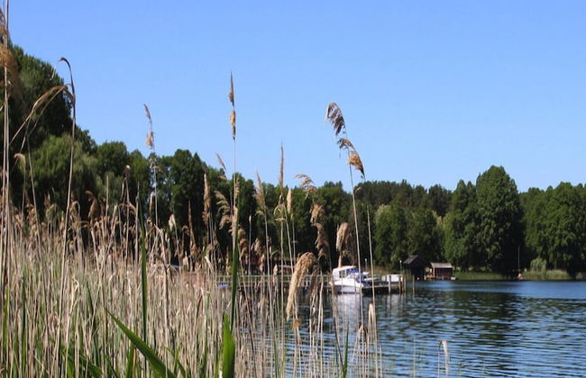 Holiday House at the Vilzsee, Mirow - Photo 76