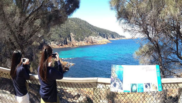 Launceston via Wineglass Bay - Transfer de Ida - Foto 3