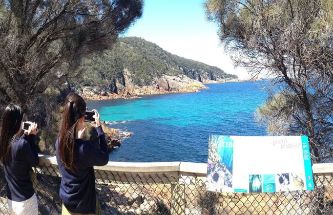 Trasferimento di sola andata Launceston via Wineglass Bay - Foto 3