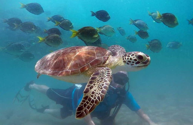 Baptême de plongée à San Juan - Photo 3