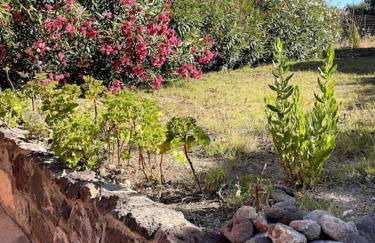 Villa vista mare a Bosa - Foto 12