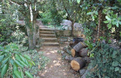 La casa di Colino e Annina - Foto 56