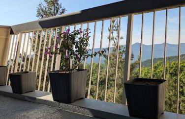 Les 3 Zepp - Foto 22