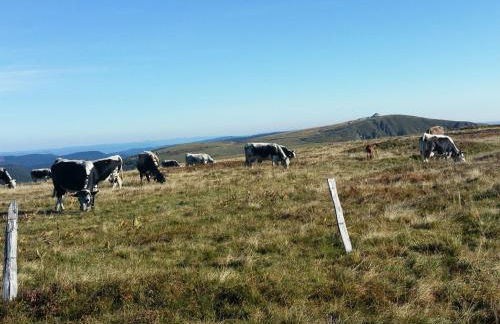 Appartement lumineux 3 chambres, terrasse, proche commerces et ski, avec WiFi - FR-1-589-677 - Foto 7