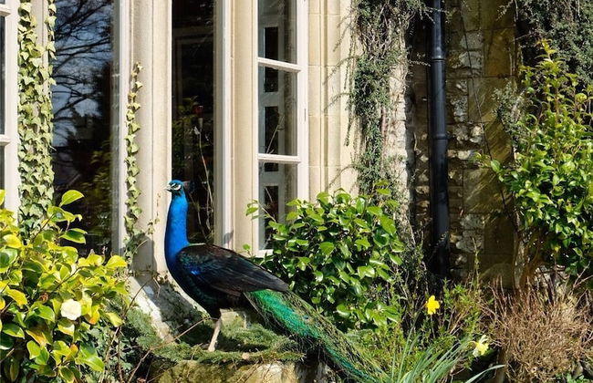 Simonstone Hall Hotel - Foto 38