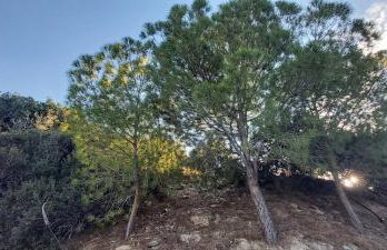 Βίλα Στέλλα Ιωάννης - Foto 52