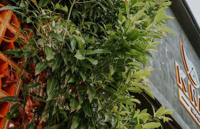 K NAJ Community Cenote residence - Photo 11