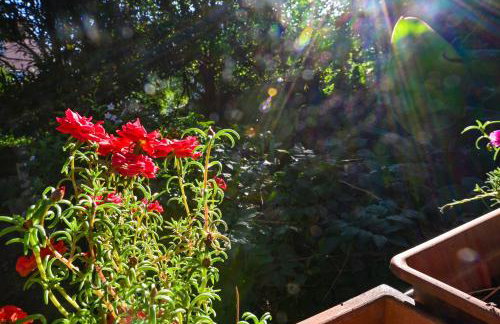 Bohemian Rhapsody - Foto 32