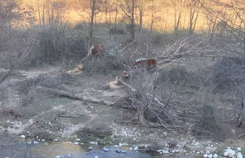 Villa La source & SPA - Photo 29