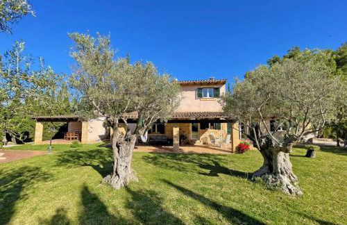 Finca Caseta Des Pradi Biel - Foto 40