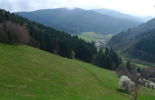 Ferienwohnung Peterberg - Foto 14