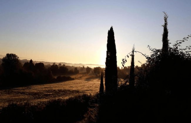 Peaceful Villa Stay in Tuscany - Foto 20
