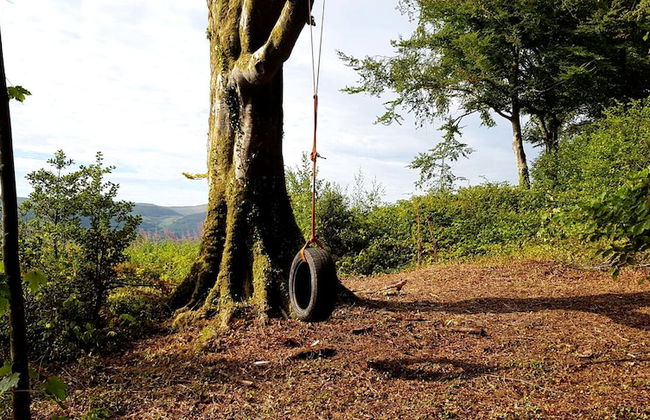 Macdonald Plas Talgarth Holiday Resort - Foto 51