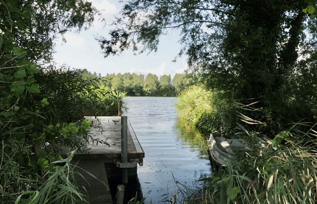 1 bedroom House in Zaamslag with garden and terrace - Photo 18