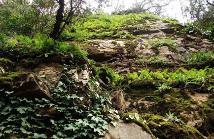 Mas Els Terrats - Foto 115