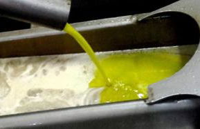 Masia Heredad La Boquilla - Foto 130