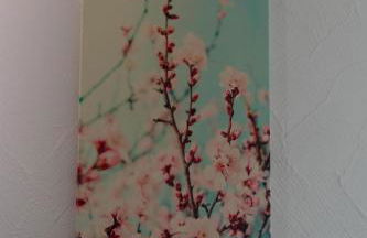 Weinstube Ferienwohnungen Johann Benzschawel - Foto 37